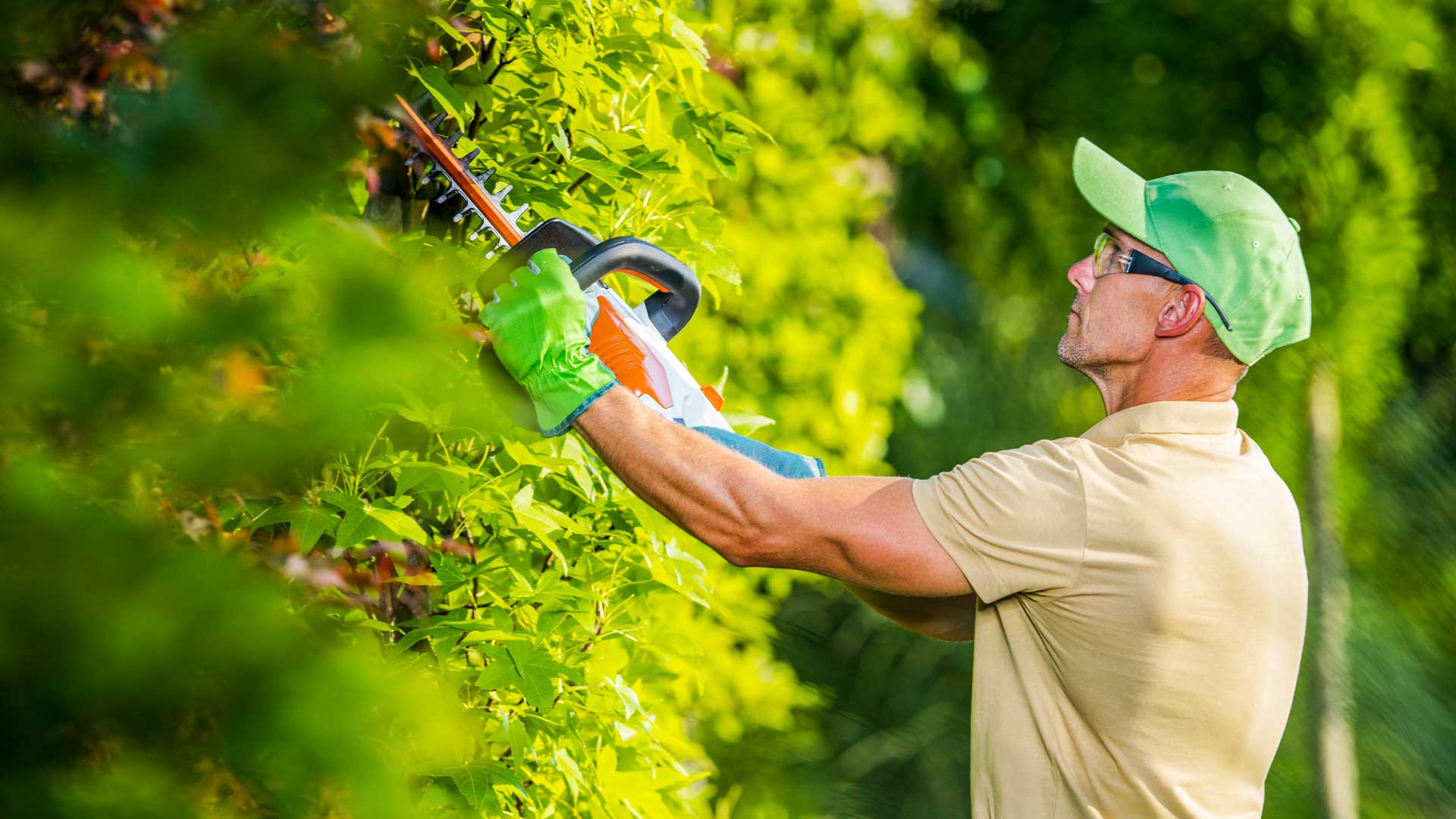 Gartenpflege Rhein-Main - Professioneller Haus und Hof Service mit Rasenmähen und Heckenschnitt für gepflegte Außenanlagen