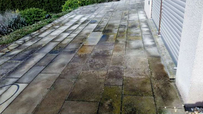 Mit Pilzen und Flechten befallene Garageneinfhart Vorher-Bild